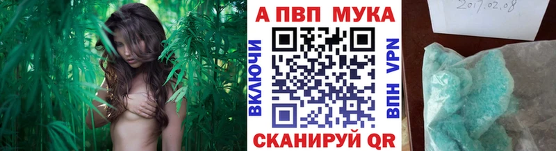 как найти наркотики  Рошаль  Alpha-PVP крисы CK 