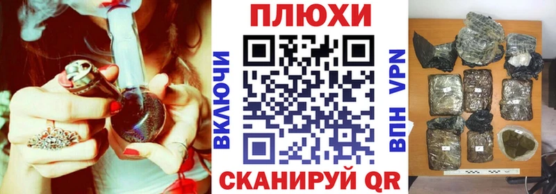наркота  Рошаль  Гашиш Изолятор 