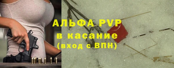 ешки Аркадак
