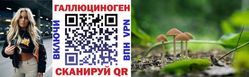Псилоцибиновые грибы прущие грибы  Рошаль 
